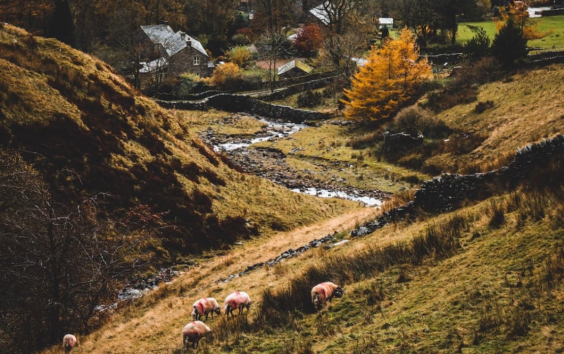 A picturesque view of a rural landscape with a stream winding through a valley, surrounded by rolling hills and a small village in the distance.