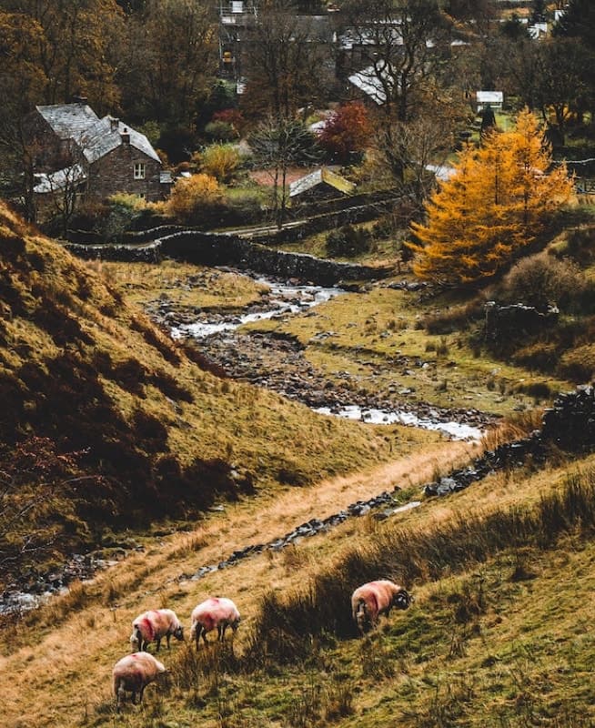 A picturesque view of a rural landscape with a stream winding through a valley, surrounded by rolling hills and a small village in the distance.